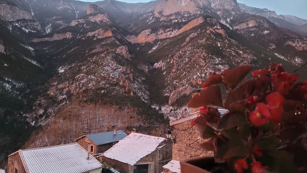 Photo of Others in Nohedes