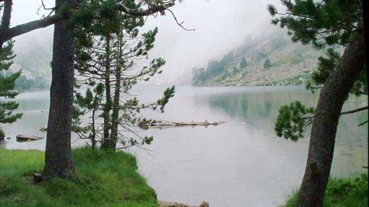 Photo of Others in Nohedes