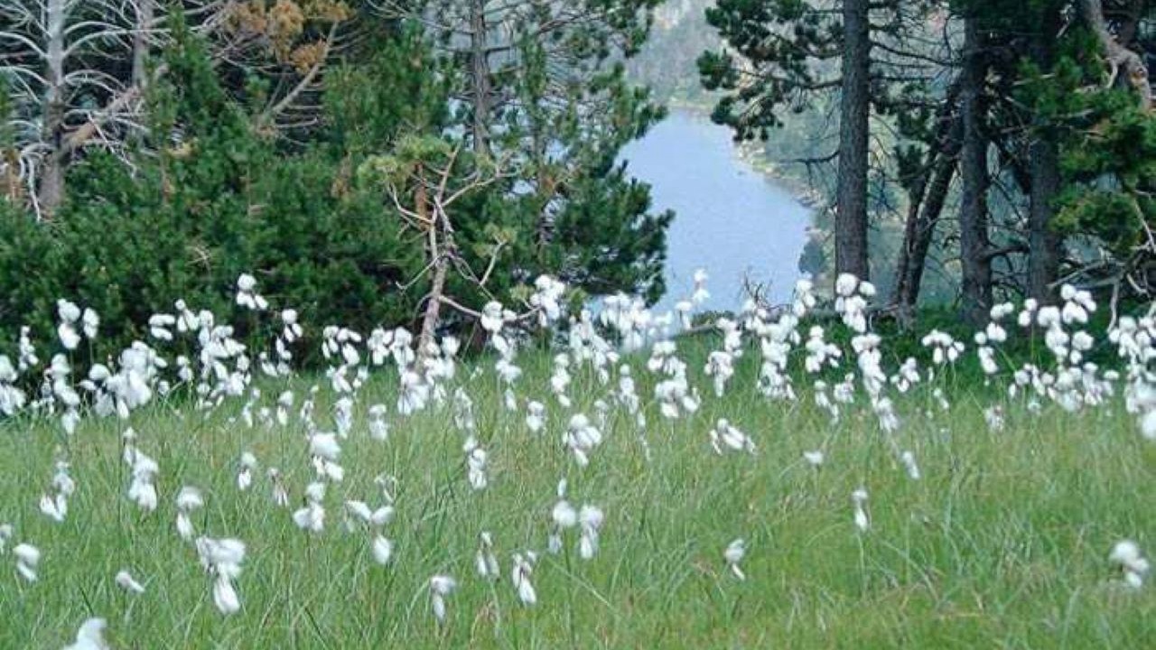 Photo of Others in Nohedes