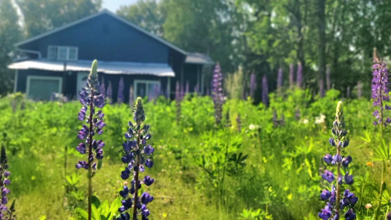 Photo of Outdoor in Mid-Hillside