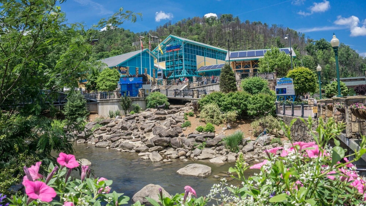 Photo of Outdoor in Sevierville