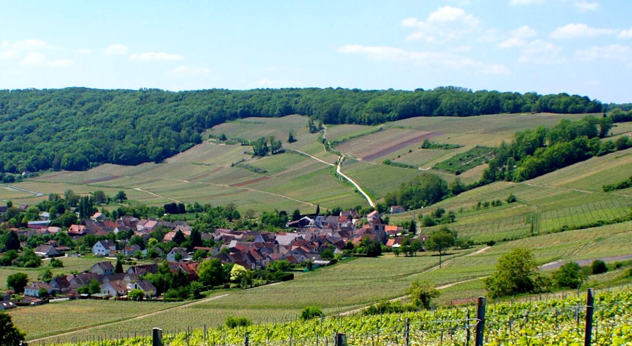 Photo of Others in Bonneil