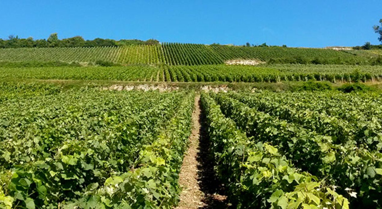 Photo of Bathroom in Bonneil