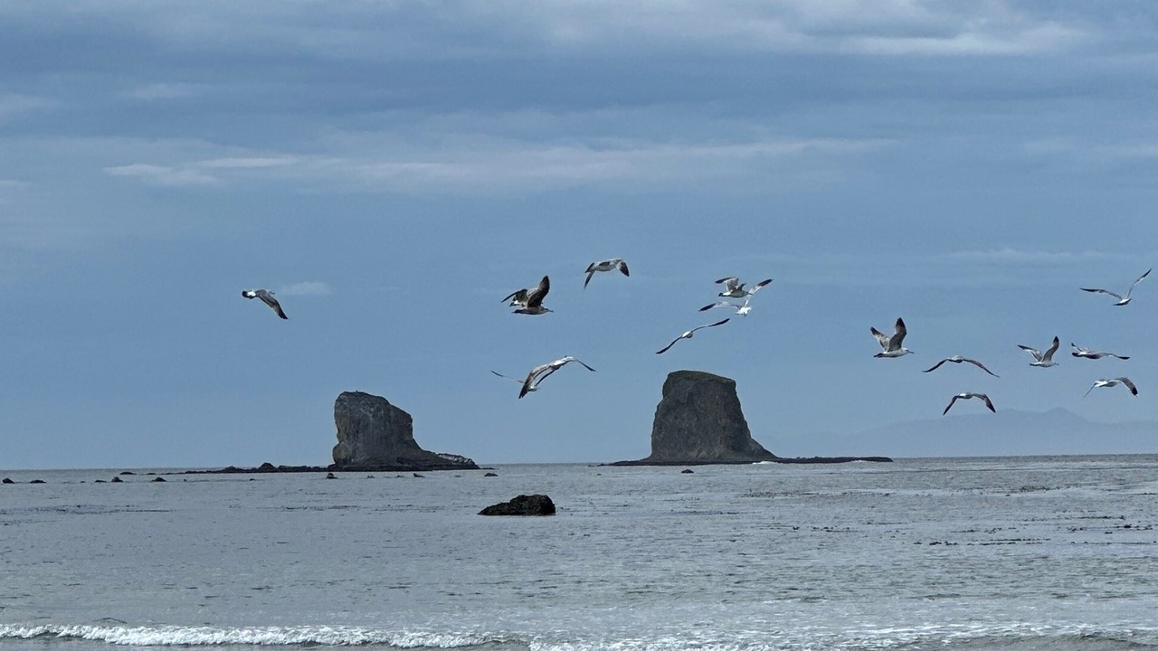 Photo of Others in Neah Bay
