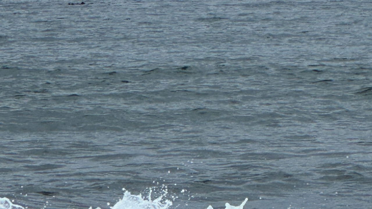 Photo of Others in Neah Bay