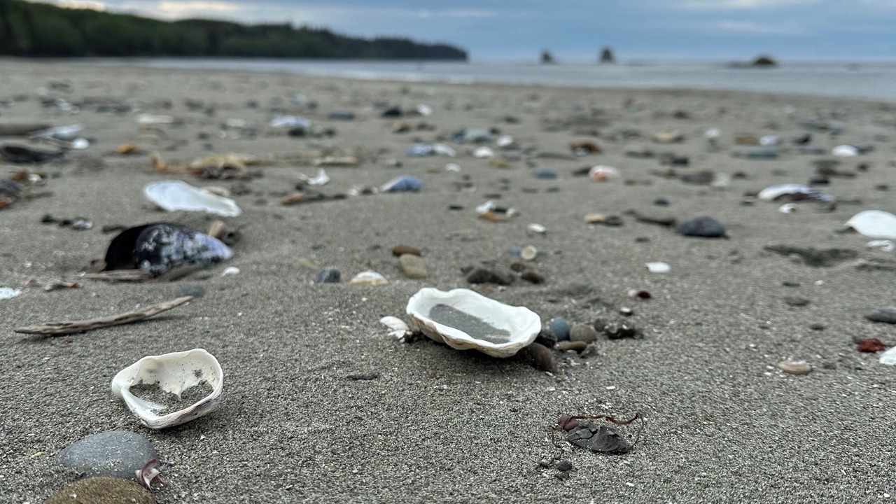 Photo of Others in Neah Bay