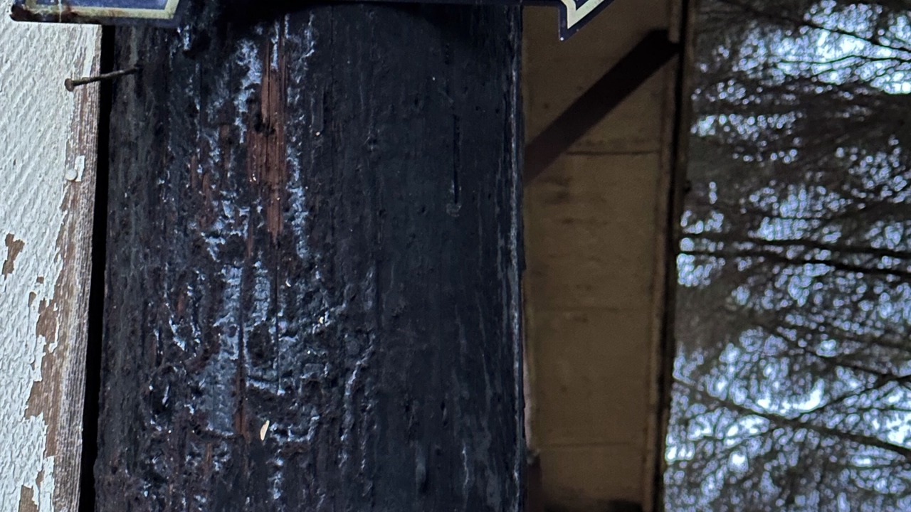 Photo of Others in Neah Bay