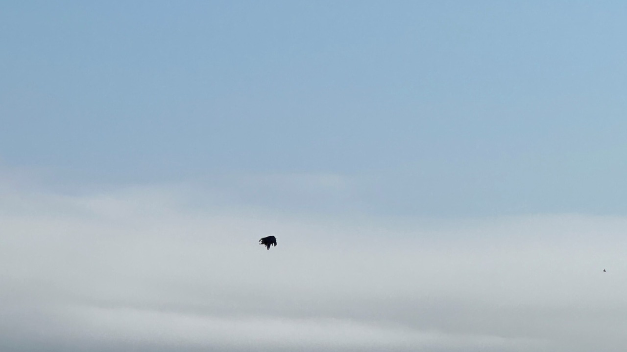 Photo of Others in Neah Bay
