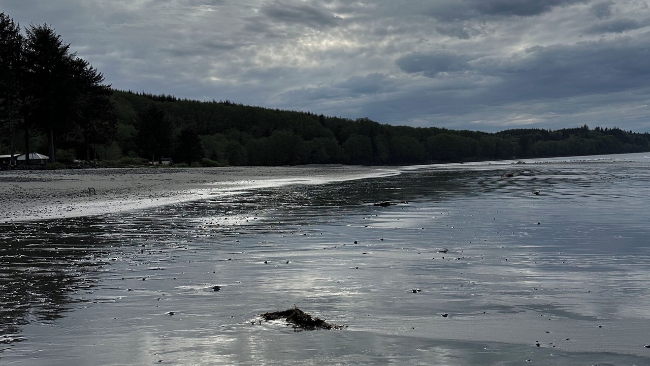 Photo of Others in Neah Bay