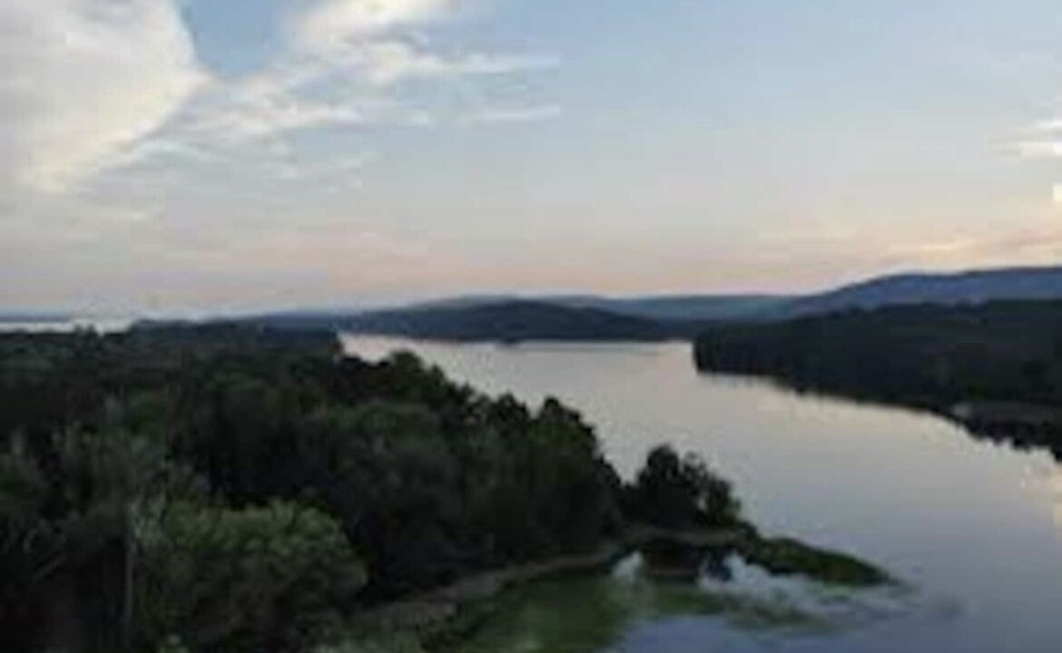 Photo of Others in Scottsboro