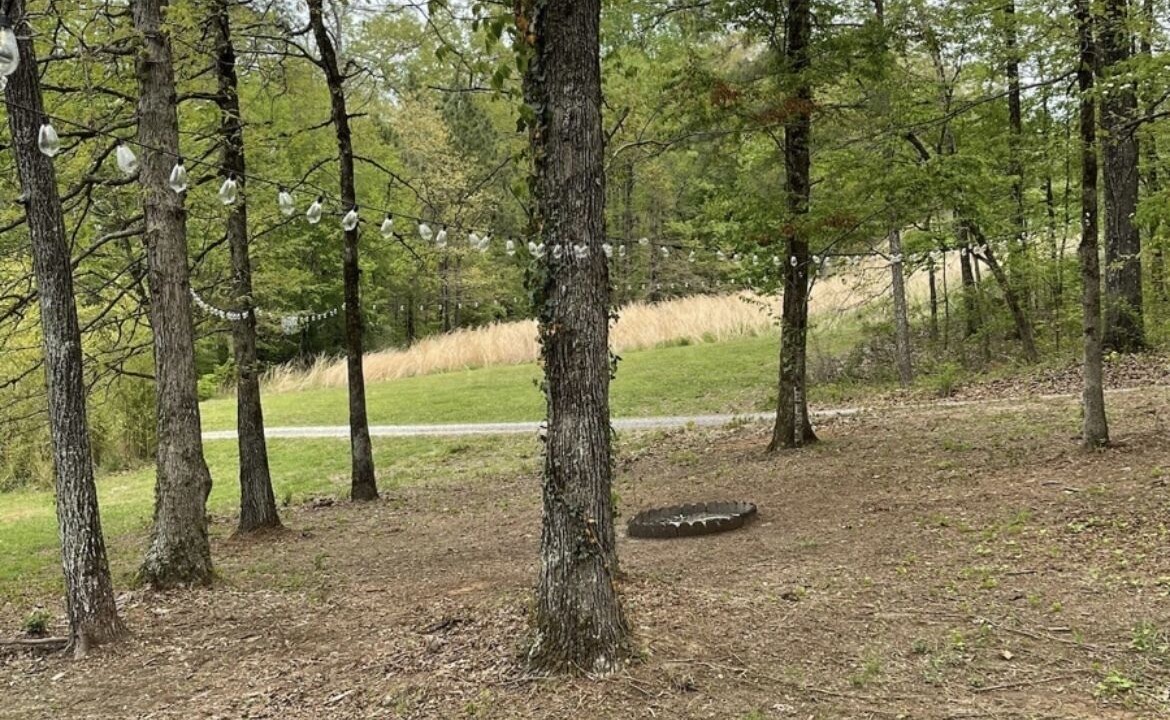 Photo of Others in Scottsboro