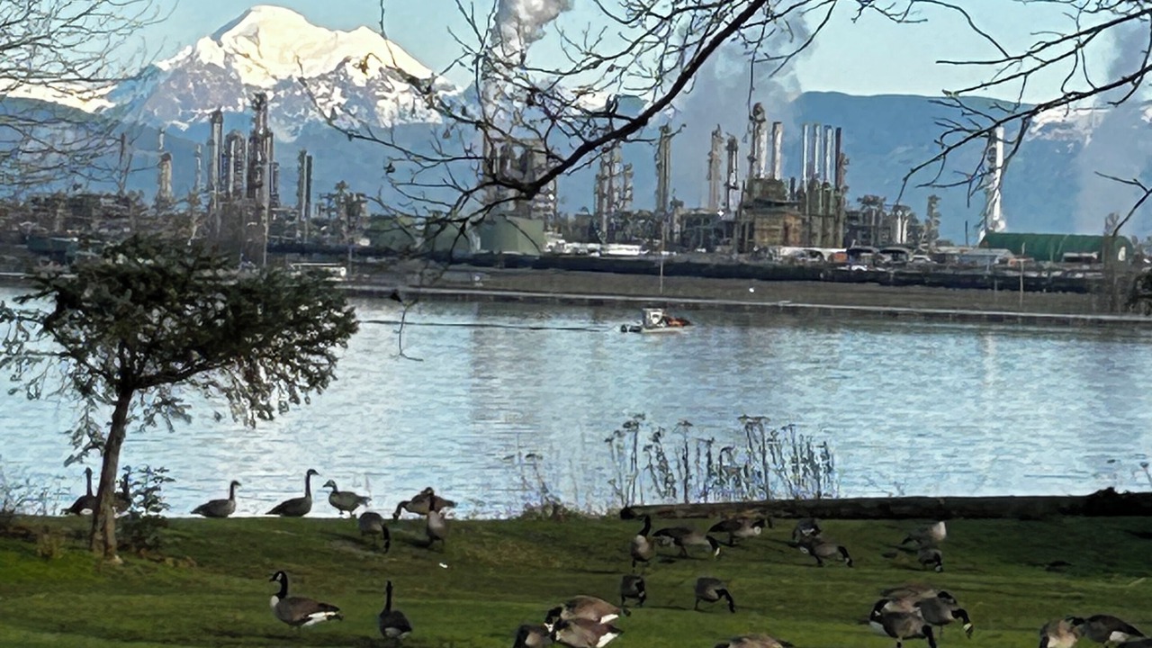Photo of Others in Anacortes