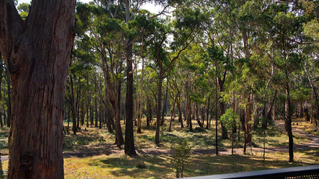 Photo of Outdoor in Musk