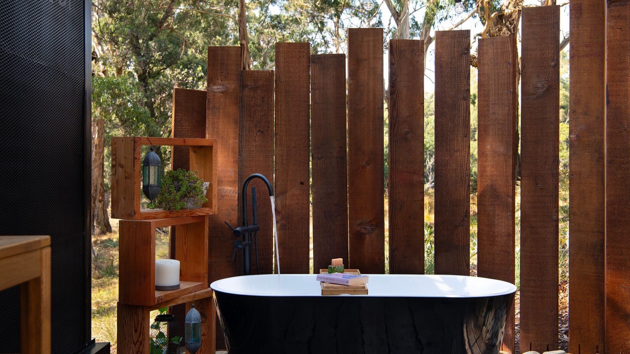 Photo of Others in Musk