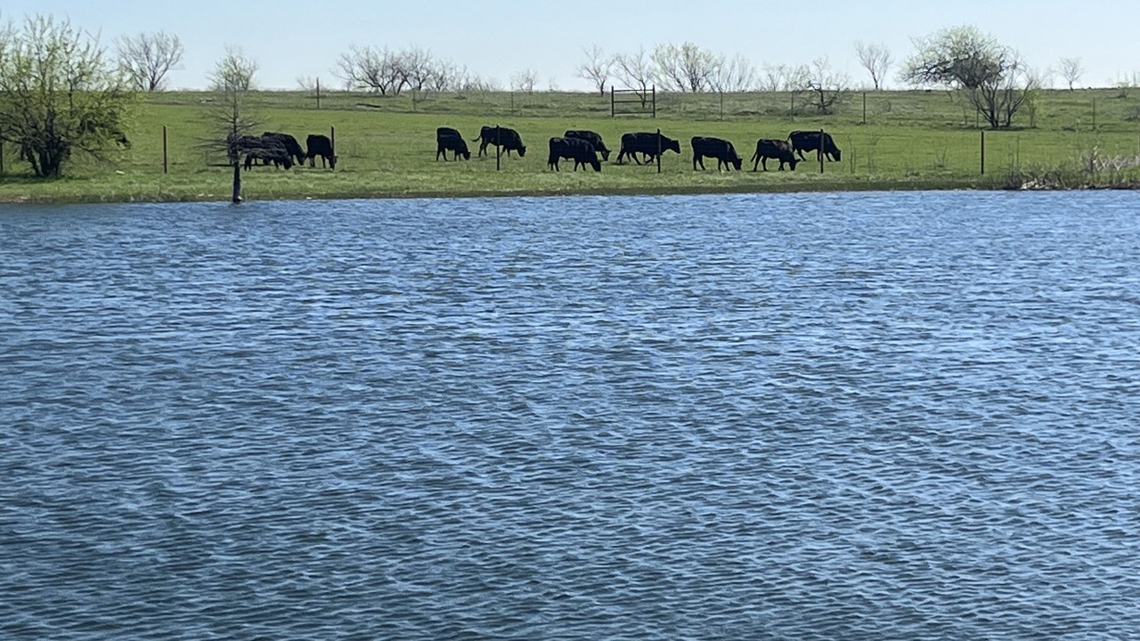 Photo of Others in Denton