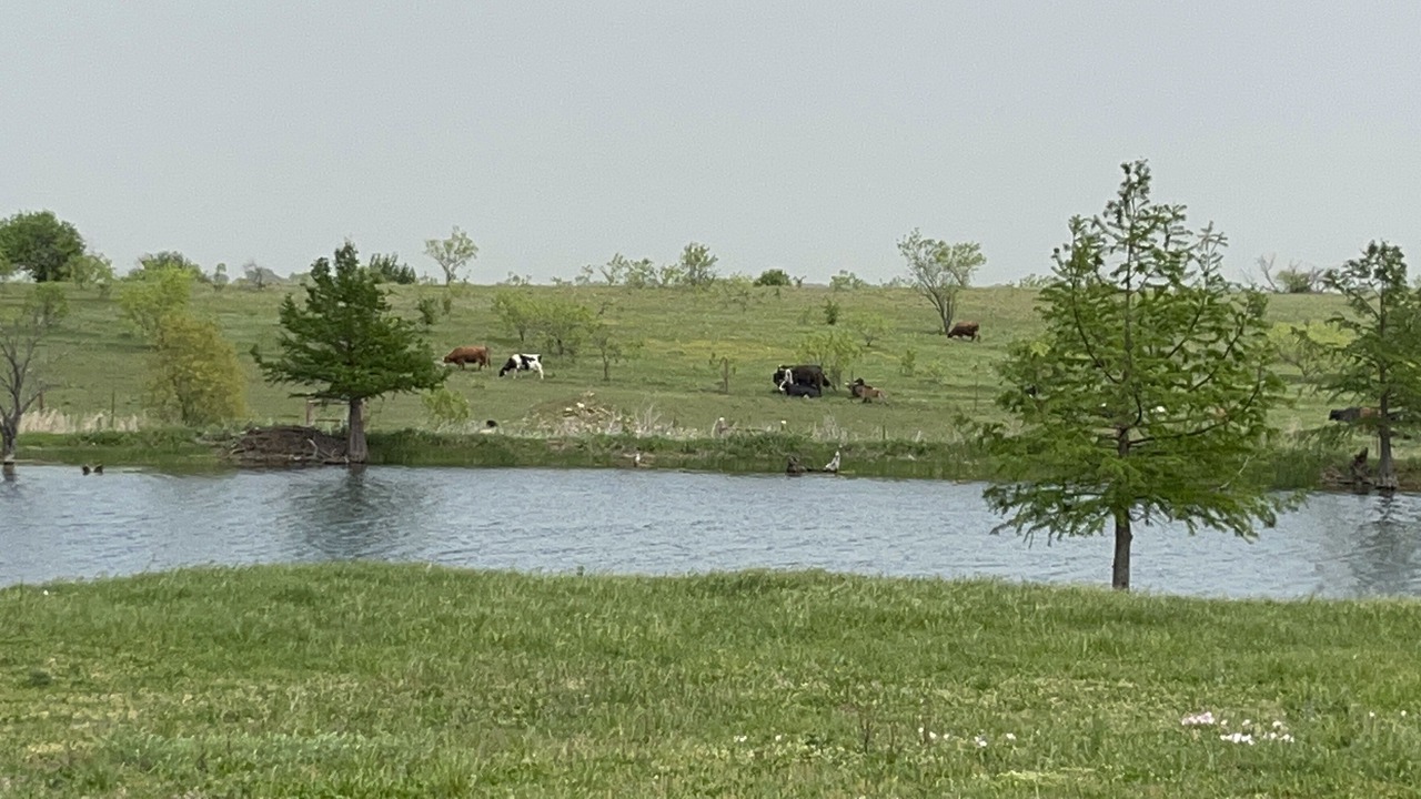 Photo of Others in Denton