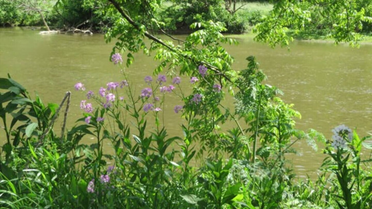 Photo of Others in Abingdon