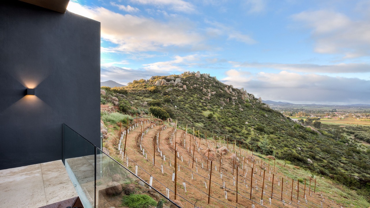 Photo of Others in Valle de Guadalupe