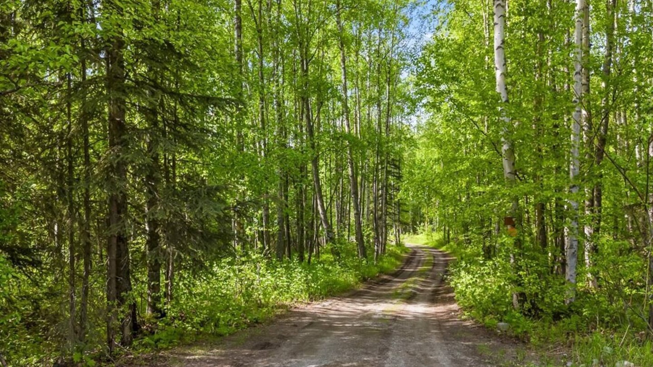 Photo of Others in Meadow Lakes