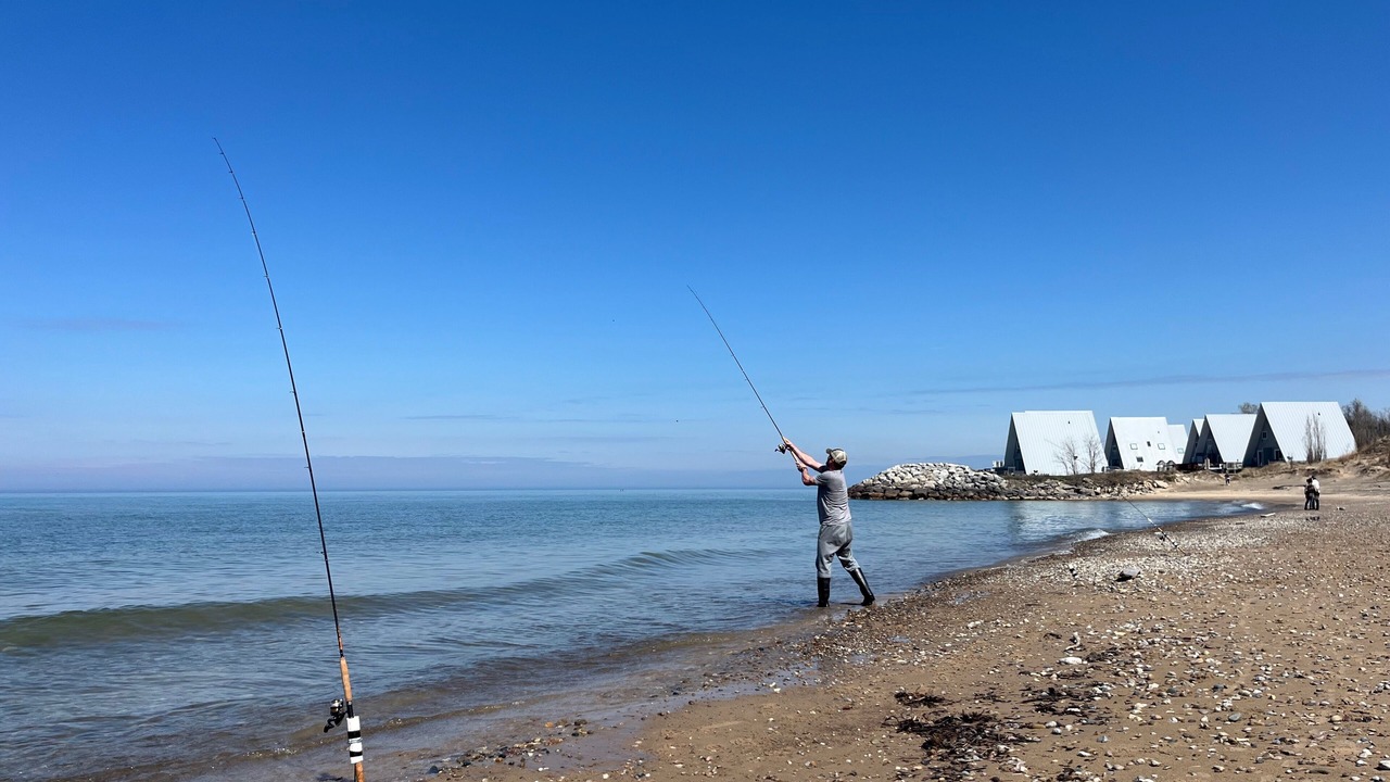 Photo of Others in Stevensville