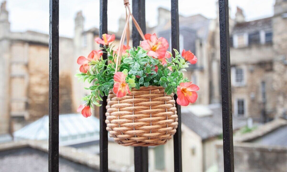 Photo of Others in Bath