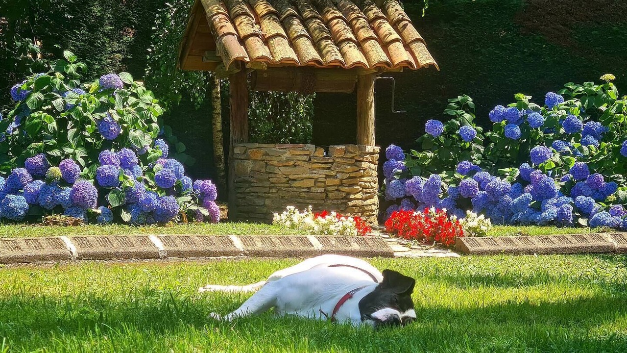 Photo of Outdoor in Les Cammazes