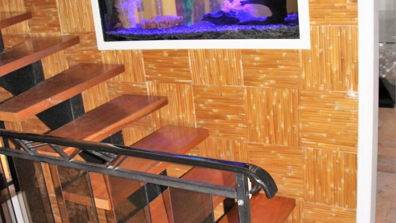 Photo of Others in Les Cammazes