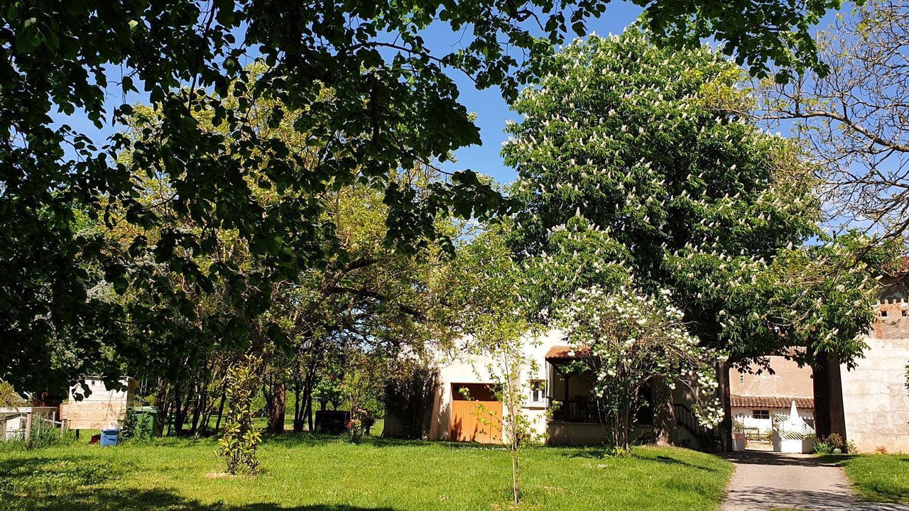 Photo of Outdoor in Frejairolles