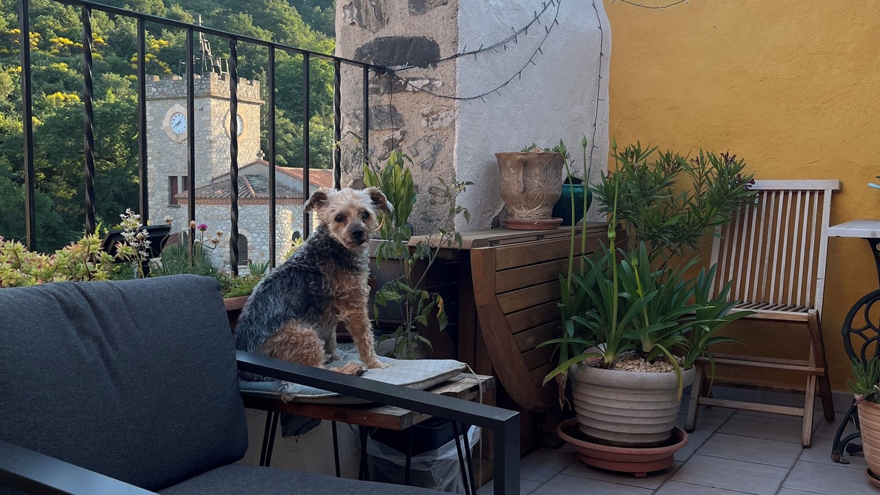 Photo of Outdoor in Le Vivier