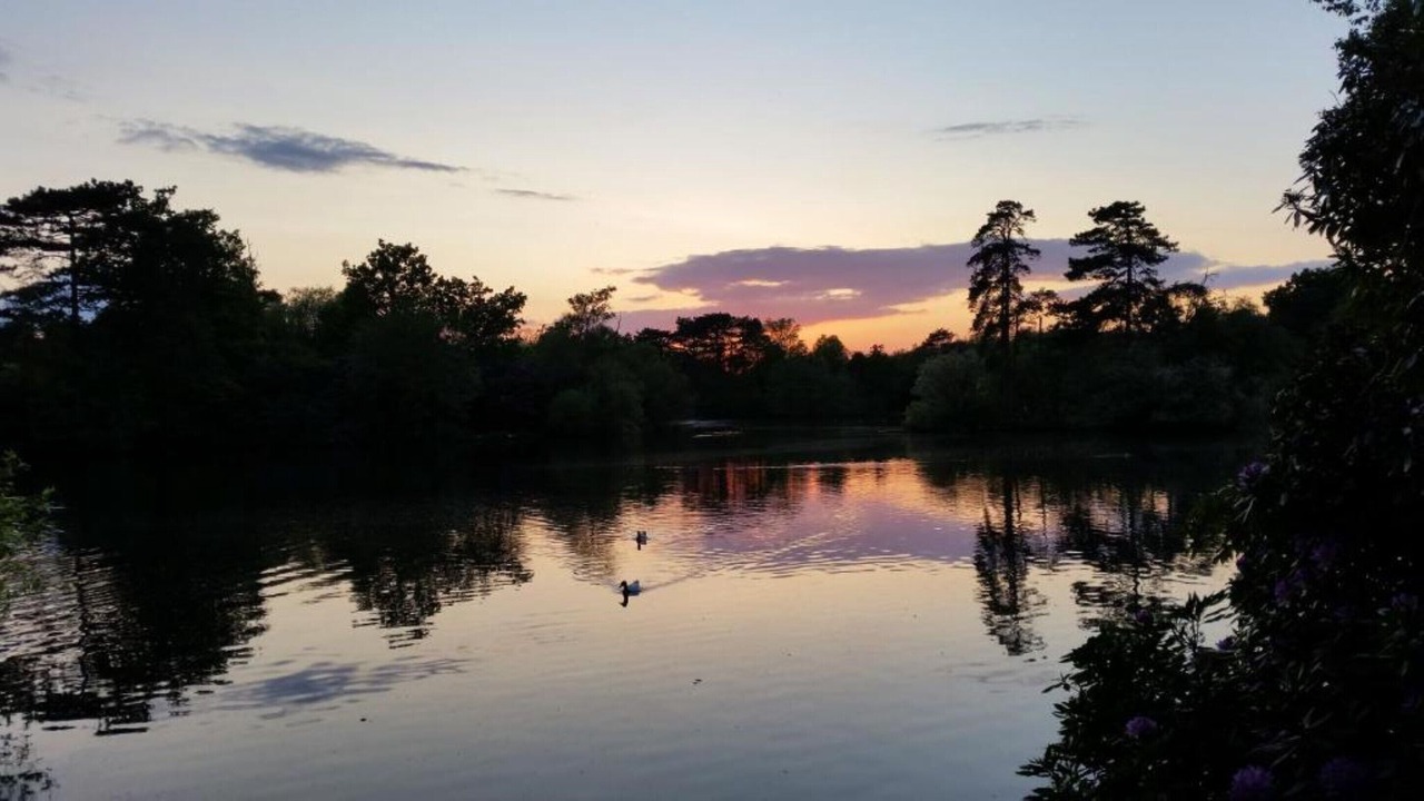 Photo of Others in Wokingham