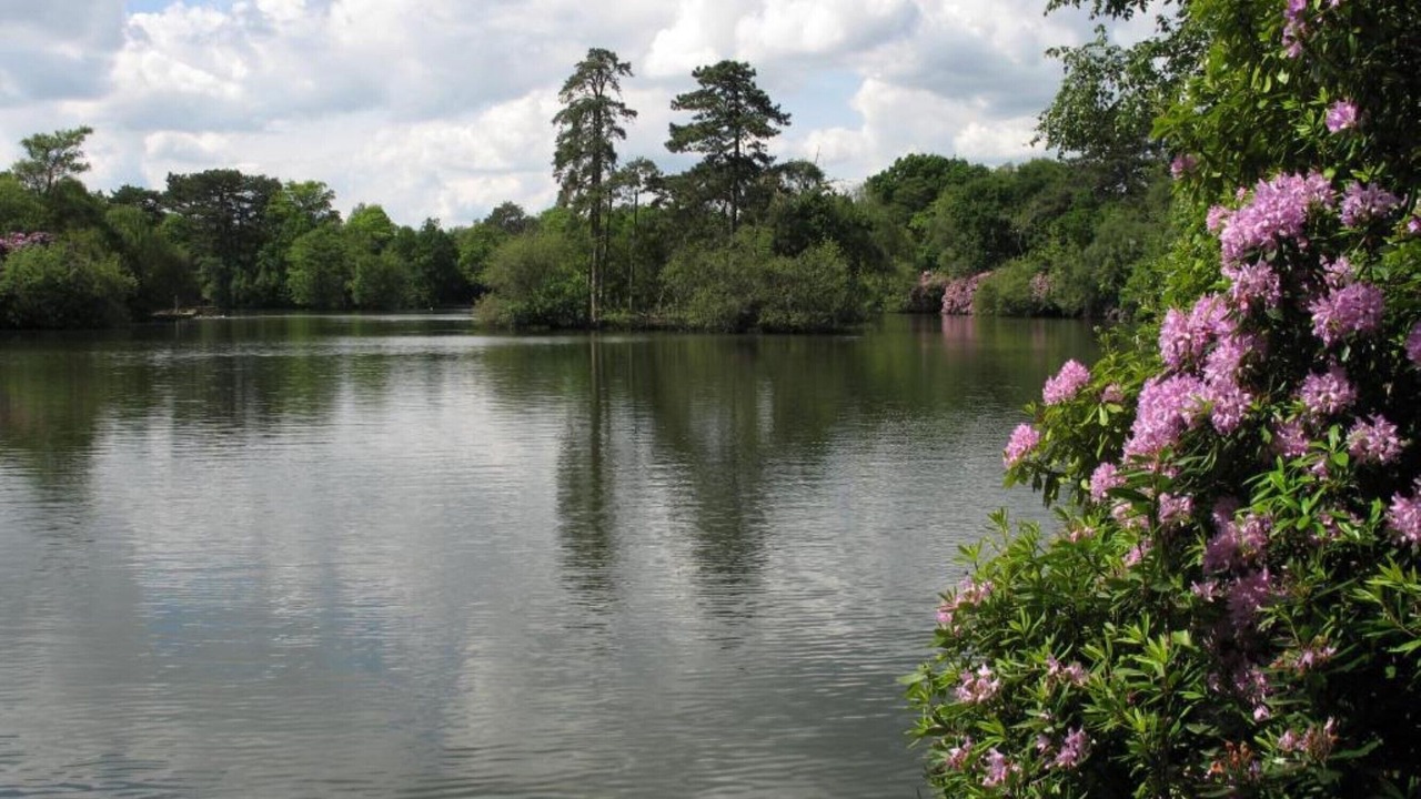 Photo of Others in Wokingham