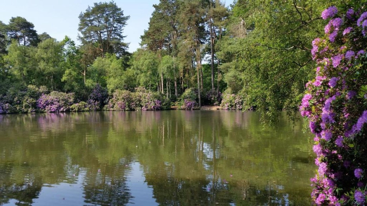 Photo of Others in Wokingham