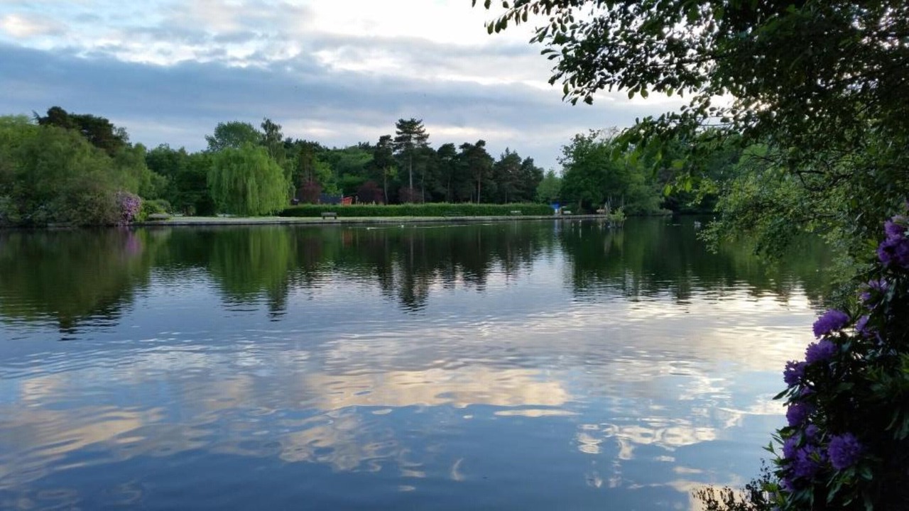 Photo of Others in Wokingham