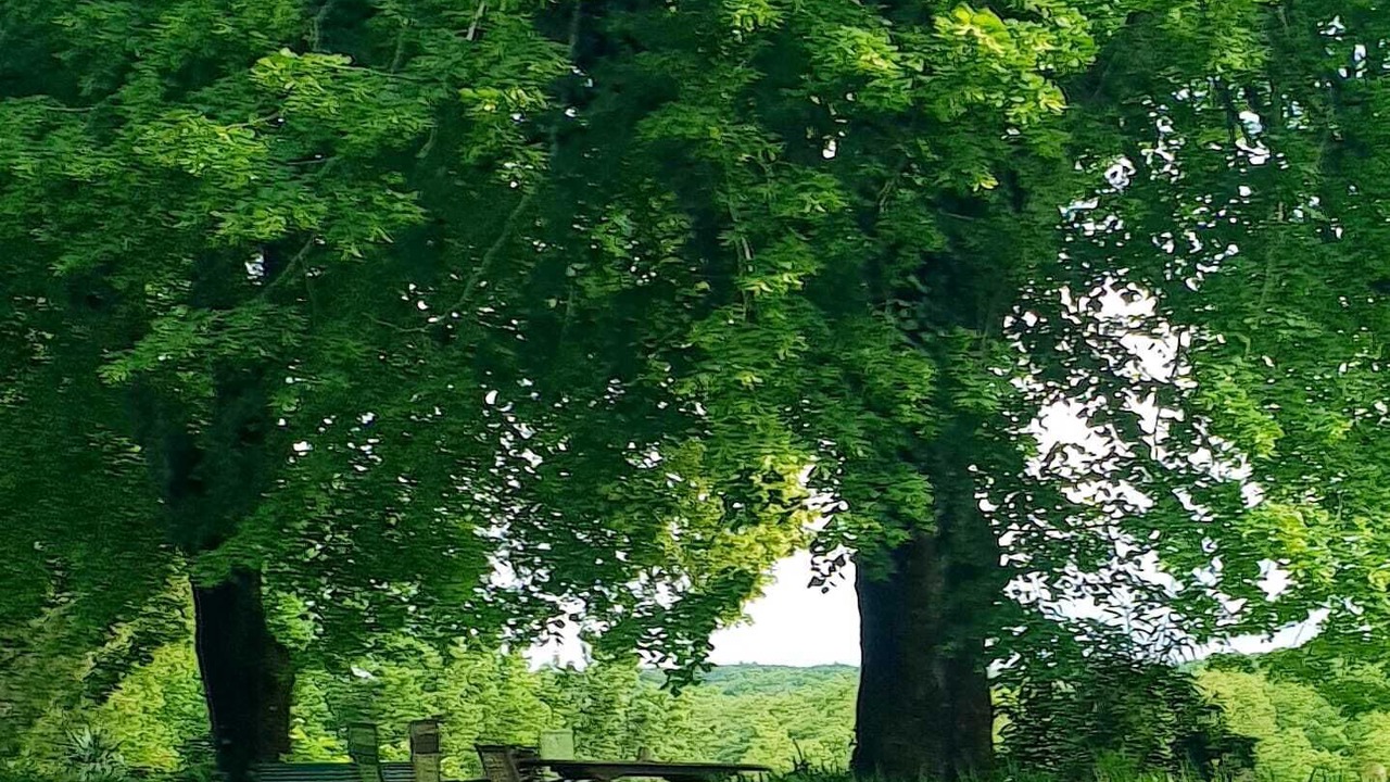 Photo of Others in Lussac