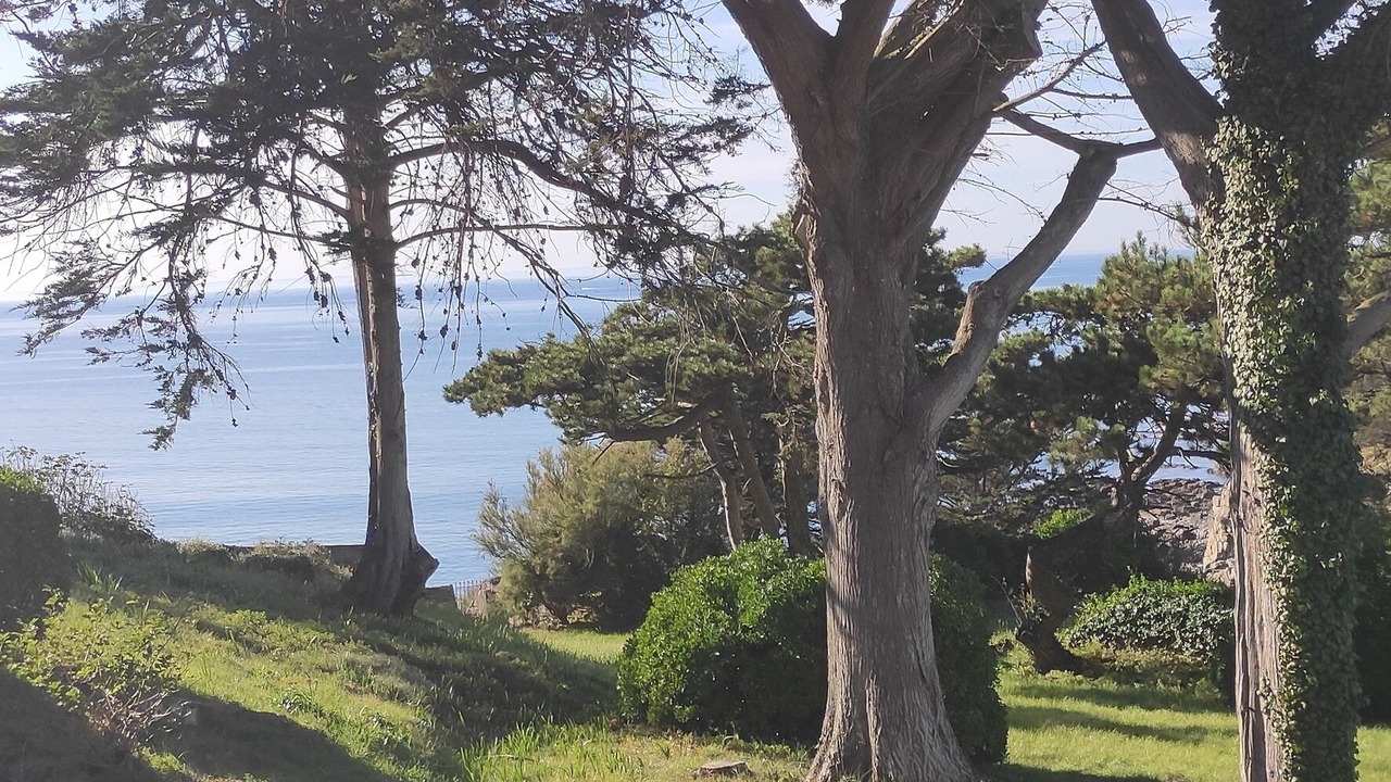 Photo of Outdoor in Saint-Alban