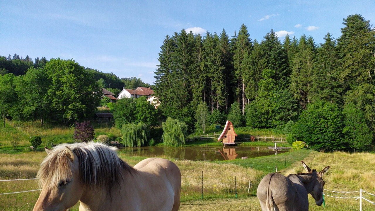 Photo of Others in Moyenmoutier