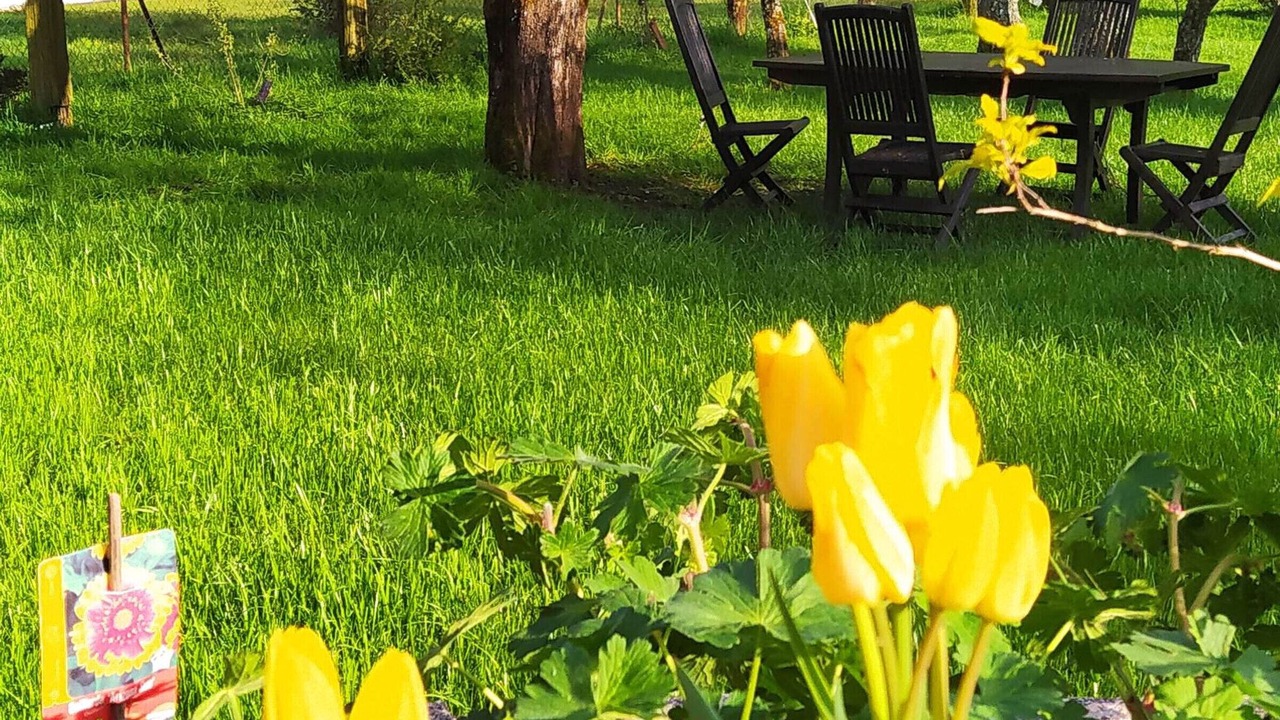 Photo of Outdoor in Moyenmoutier
