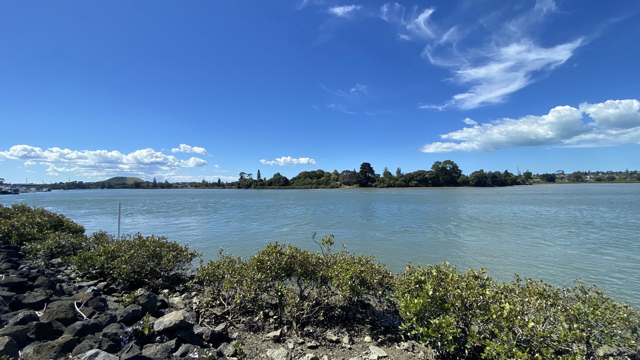 Photo of Others in Otahuhu