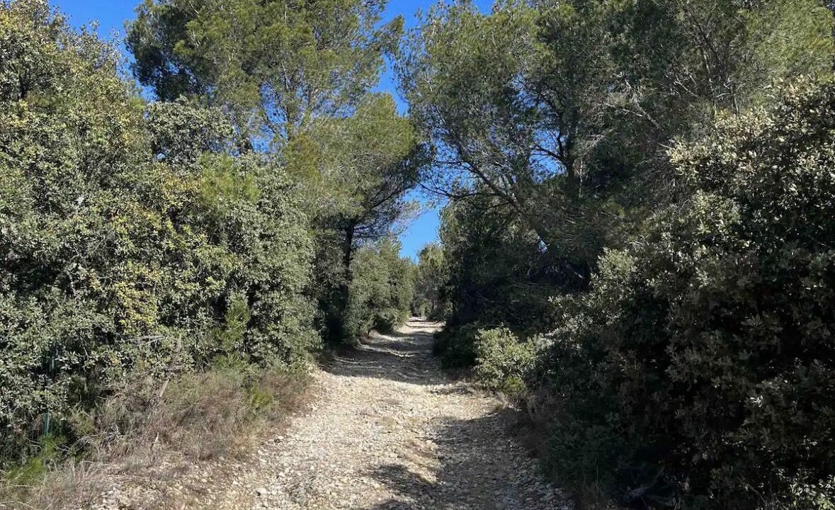 Photo of Others in Vacqueyras