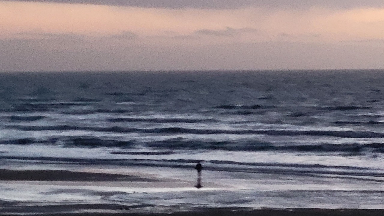 Photo of Others in Hauteville-sur-Mer