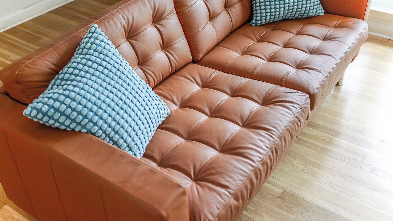 Photo of Livingroom in North Camellia Acres