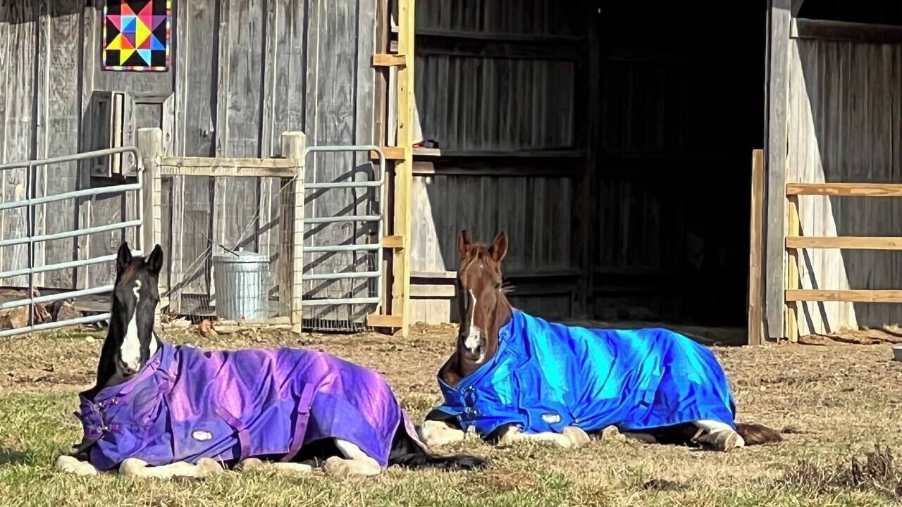 Photo of Others in LaFayette