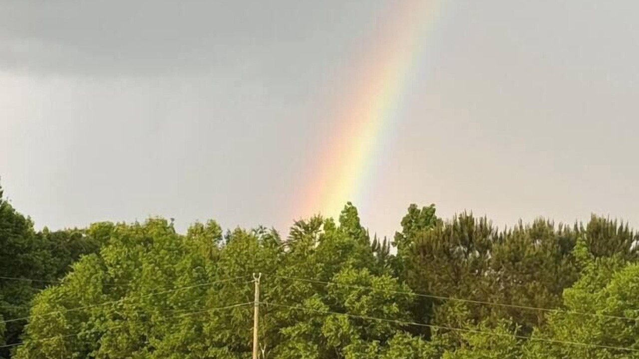 Photo of Others in LaFayette