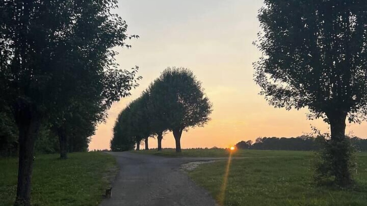 Photo of Others in LaFayette