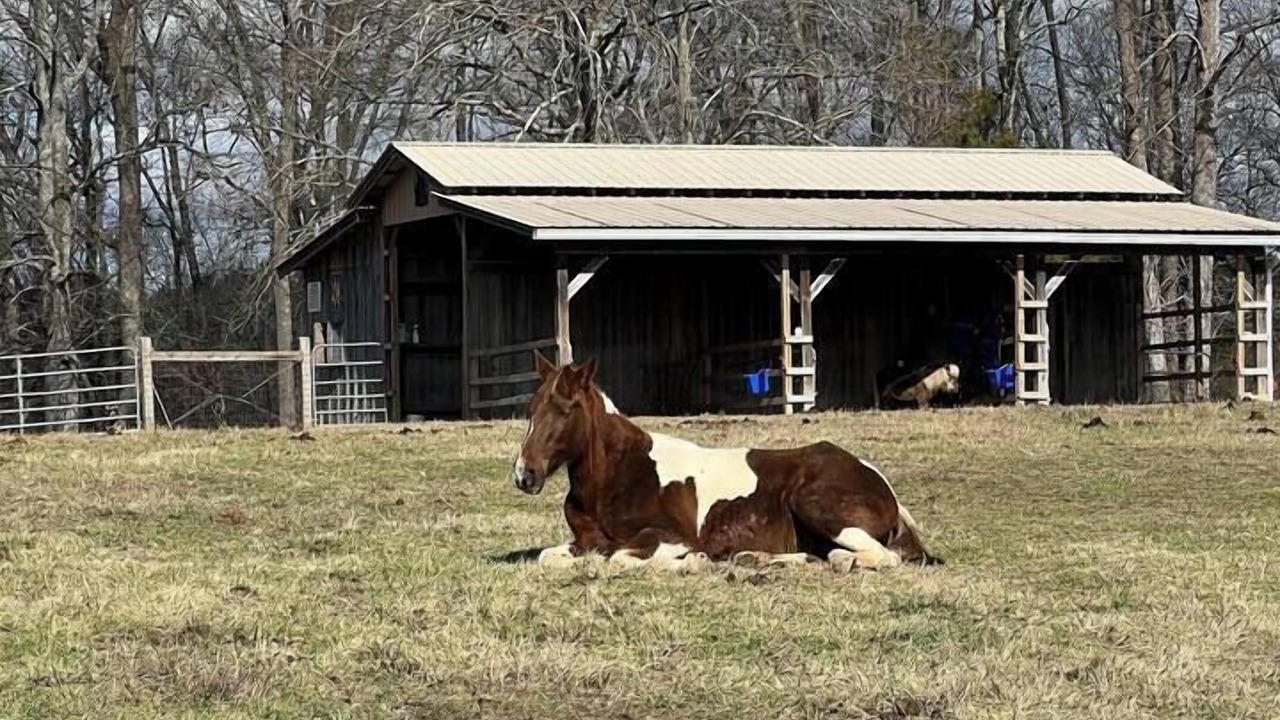 Photo of Others in LaFayette