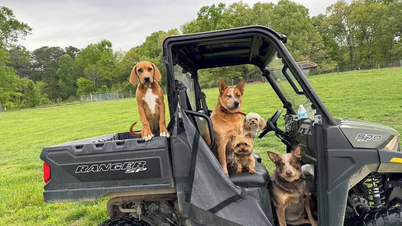 Photo of Others in LaFayette