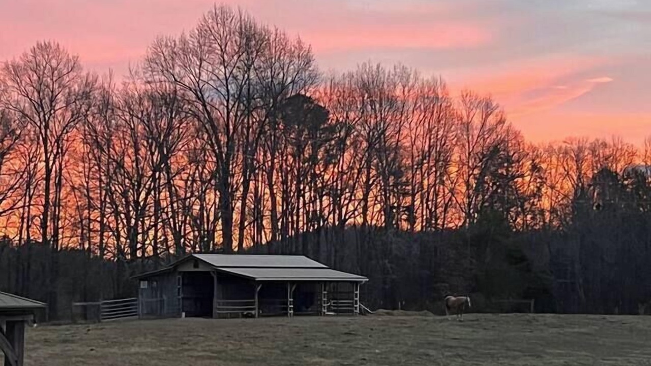 Photo of Others in LaFayette