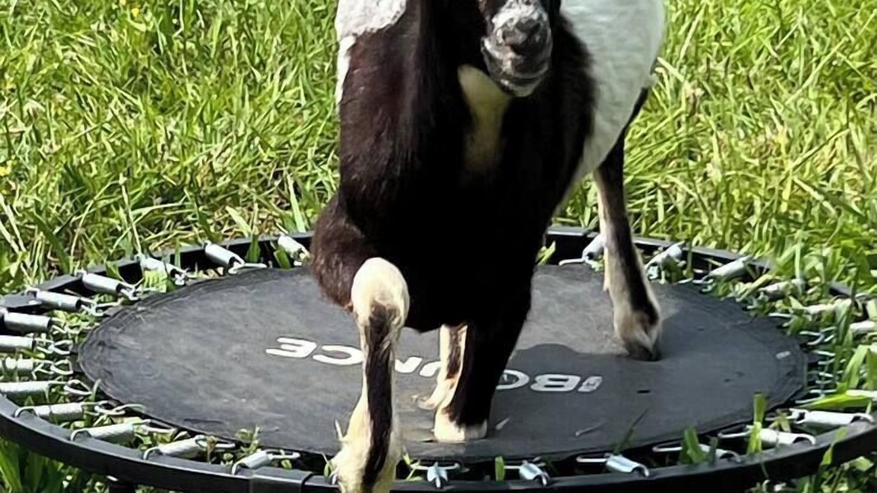 Photo of Others in LaFayette