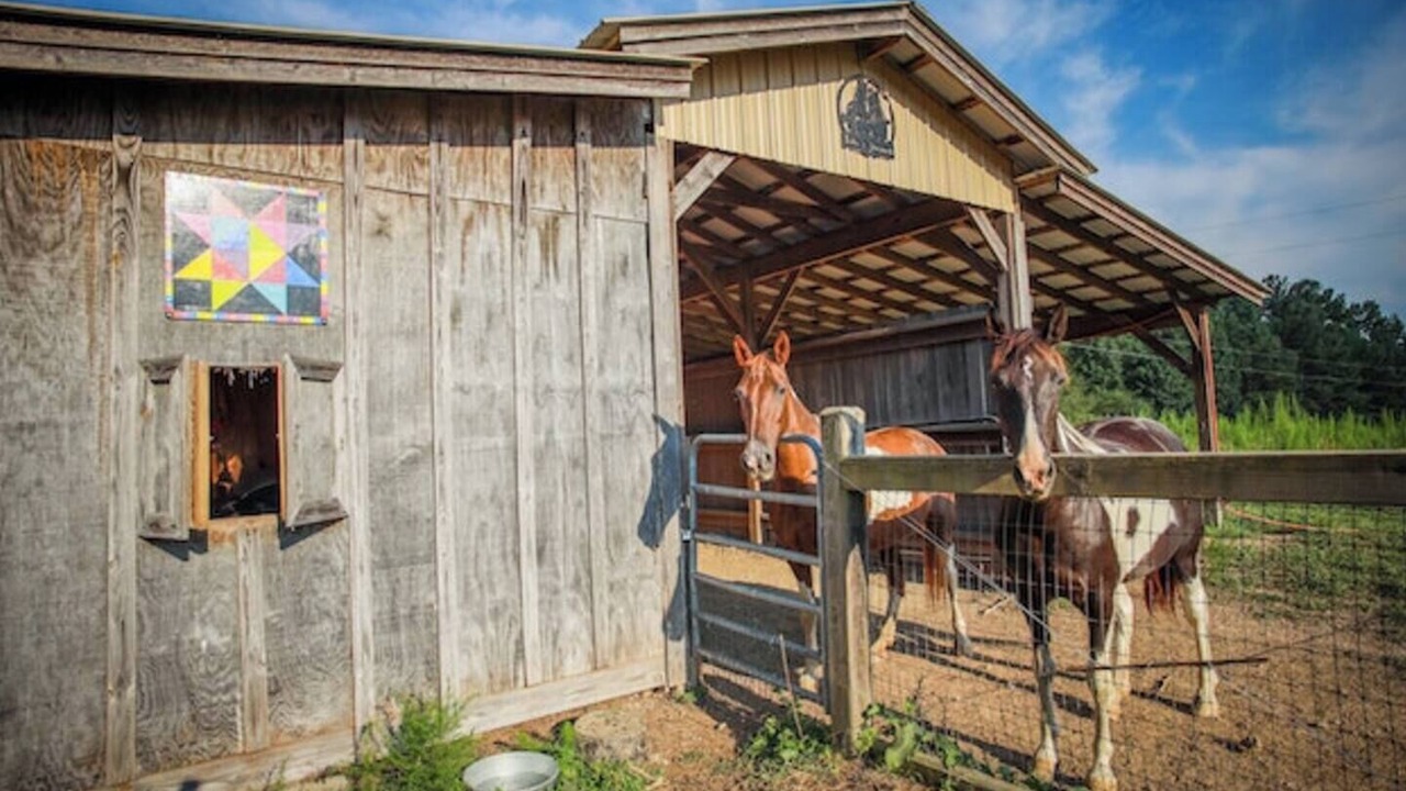 Photo of Others in LaFayette