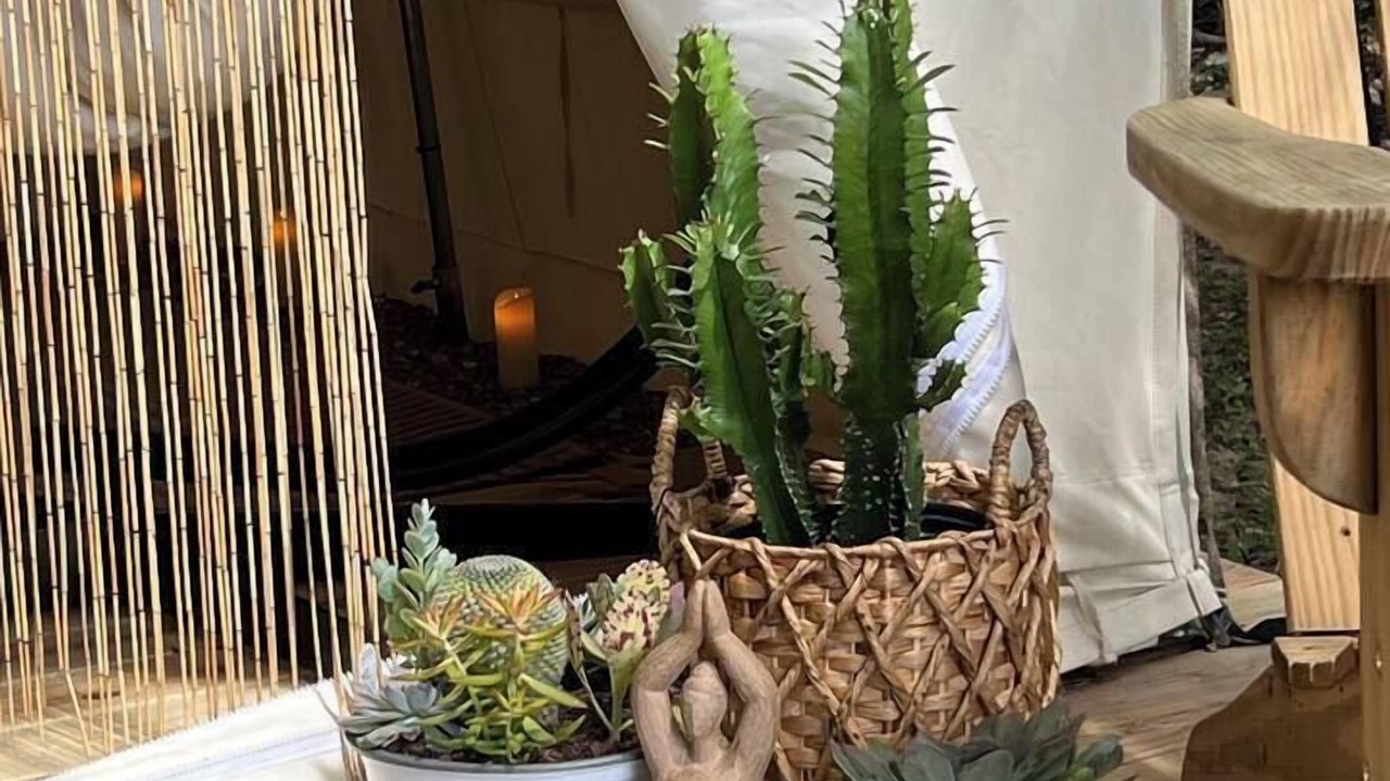 Photo of Others in LaFayette